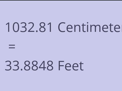 1032.81 CM TO FEET