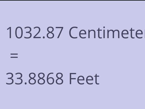 1032.87 CM TO FEET