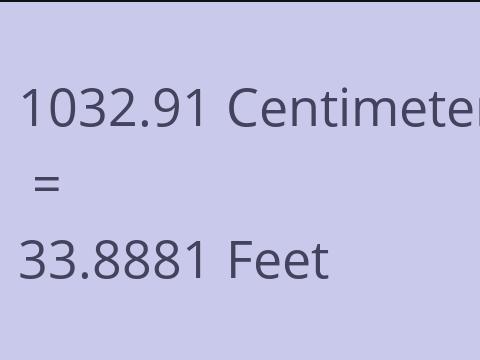 1032.91 CM TO FEET