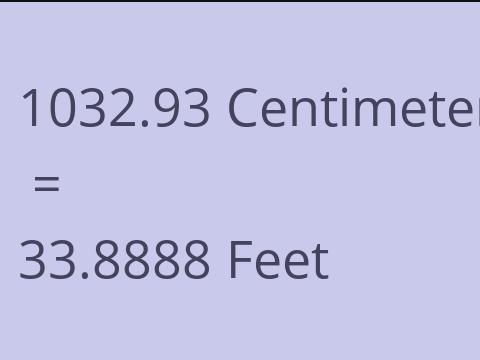 1032.93 CM TO FEET