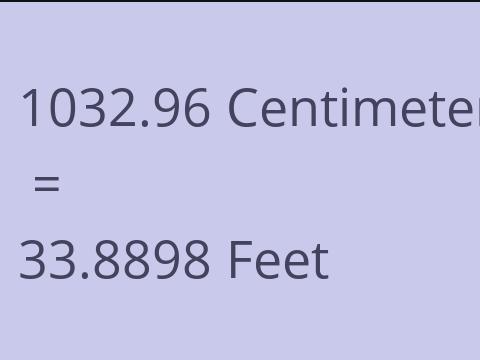 1032.96 CM TO FEET