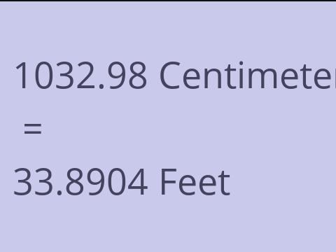 1032.98 CM TO FEET