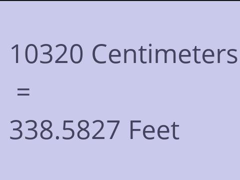 10320 CM TO FEET