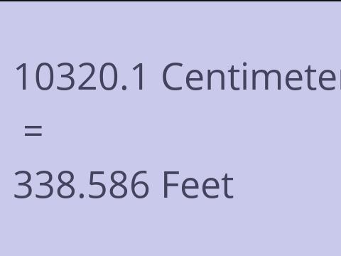 10320.1 CM TO FEET