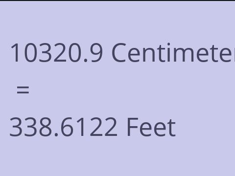 10320.9 CM TO FEET