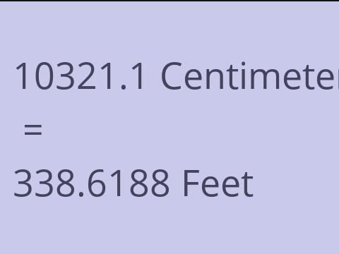 10321.1 CM TO FEET