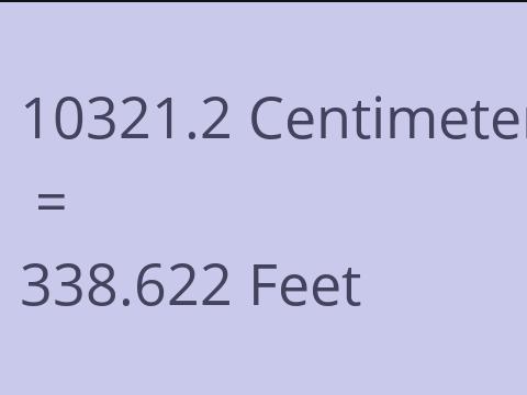 10321.2 CM TO FEET
