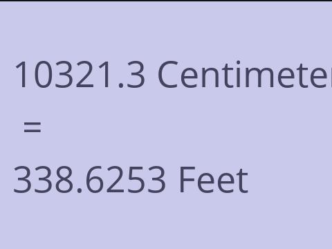 10321.3 CM TO FEET