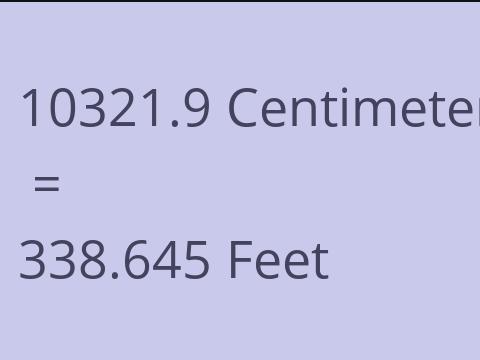 10321.9 CM TO FEET