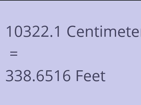 10322.1 CM TO FEET