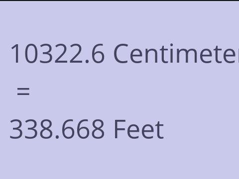 10322.6 CM TO FEET