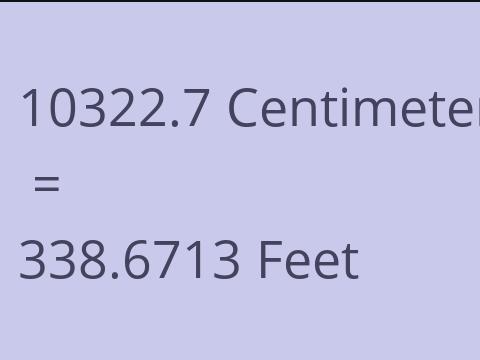 10322.7 CM TO FEET