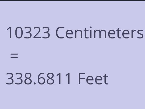 10323 CM TO FEET