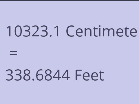 10323.1 CM TO FEET