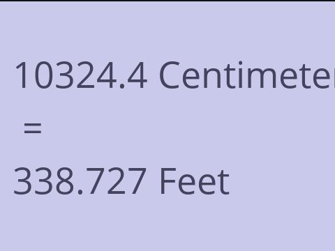 10324.4 CM TO FEET