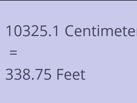10325.1 CM TO FEET