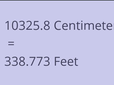 10325.8 CM TO FEET