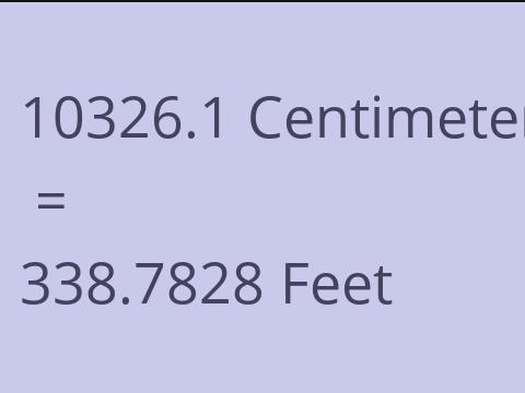 10326.1 CM TO FEET