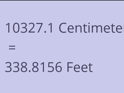 10327.1 CM TO FEET