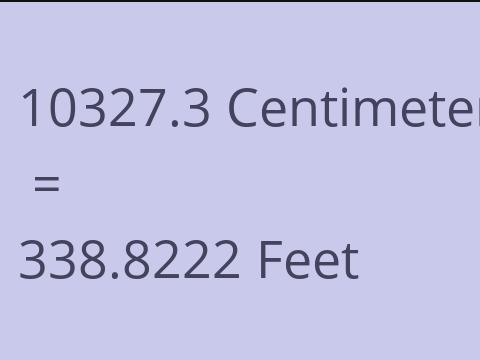 10327.3 CM TO FEET