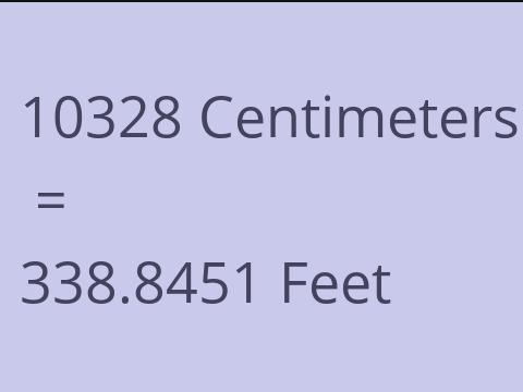 10328 CM TO FEET
