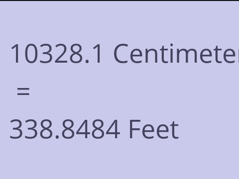 10328.1 CM TO FEET