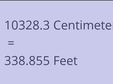 10328.3 CM TO FEET