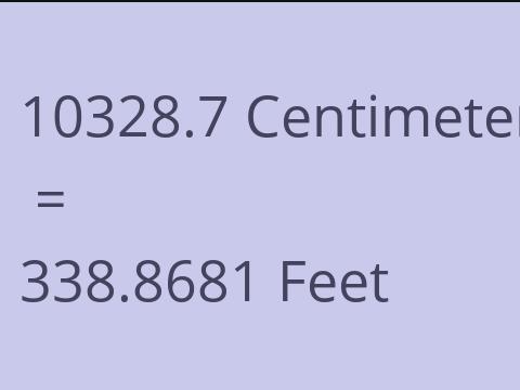 10328.7 CM TO FEET