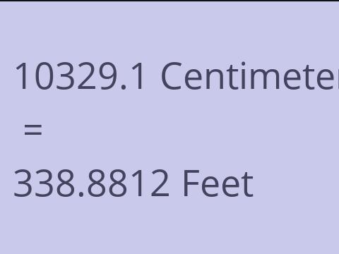 10329.1 CM TO FEET