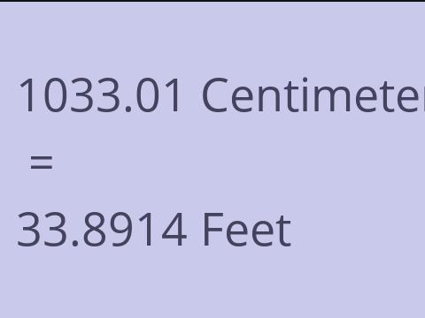 1033.01 CM TO FEET