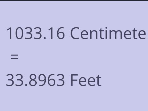 1033.16 CM TO FEET