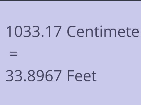 1033.17 CM TO FEET