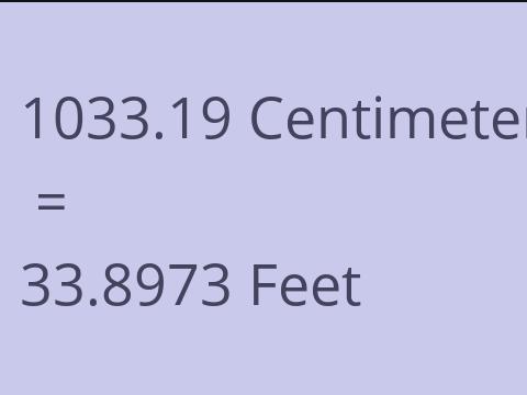 1033.19 CM TO FEET