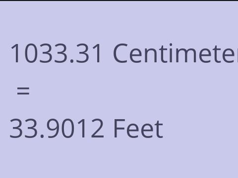 1033.31 CM TO FEET