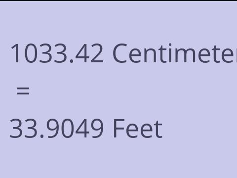 1033.42 CM TO FEET