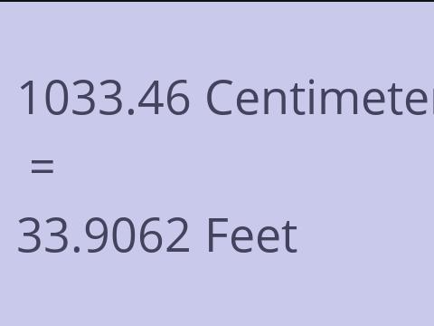 1033.46 CM TO FEET