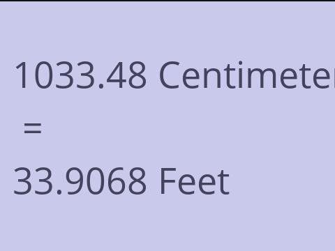 1033.48 CM TO FEET