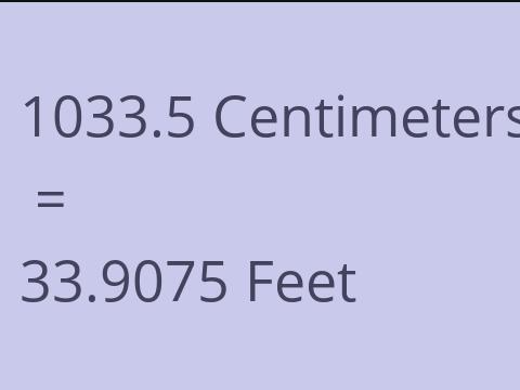 1033.5 CM TO FEET