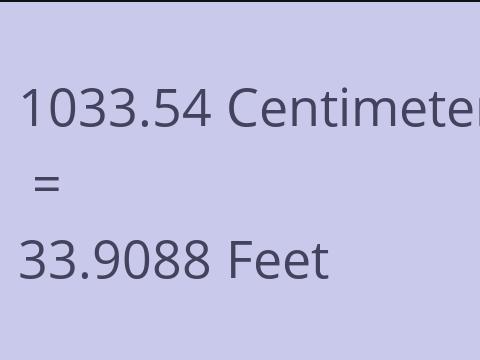 1033.54 CM TO FEET