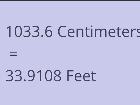 1033.6 CM TO FEET