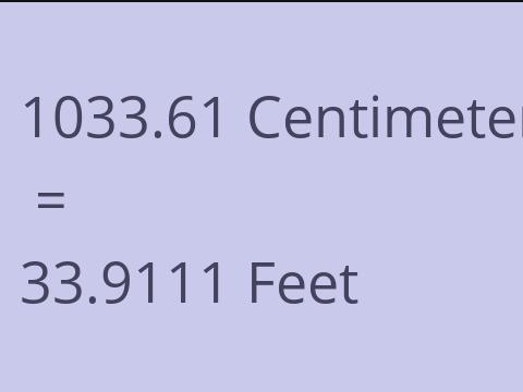 1033.61 CM TO FEET