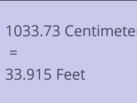 1033.73 CM TO FEET