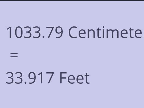 1033.79 CM TO FEET