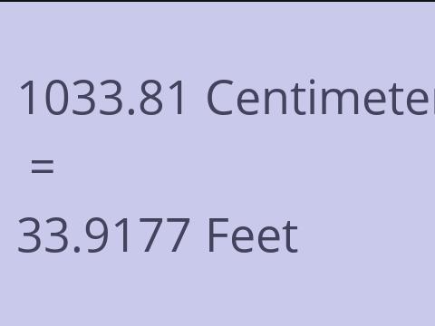 1033.81 CM TO FEET