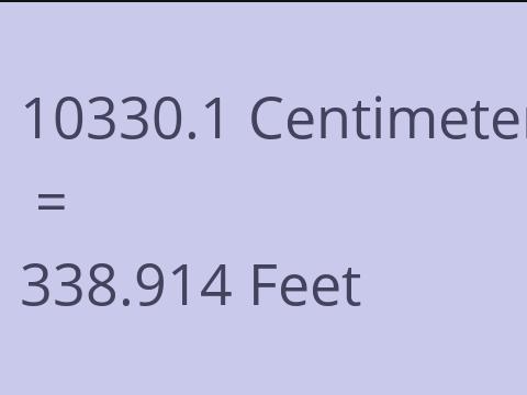10330.1 CM TO FEET