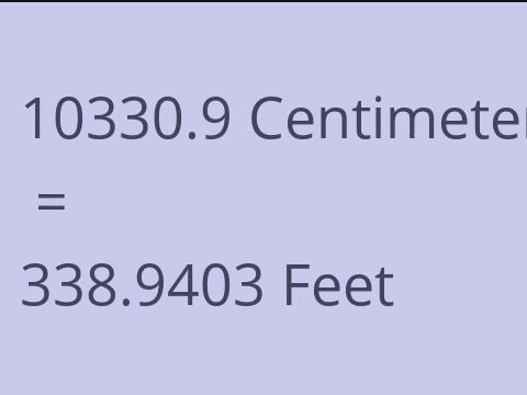 10330.9 CM TO FEET