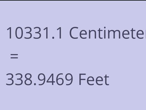 10331.1 CM TO FEET