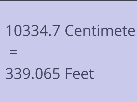10334.7 CM TO FEET