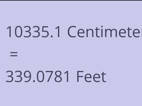 10335.1 CM TO FEET