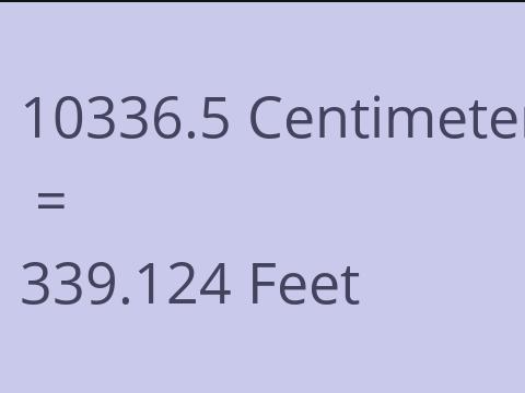 10336.5 CM TO FEET